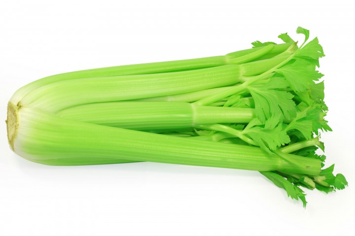fresh celery bunch on white background